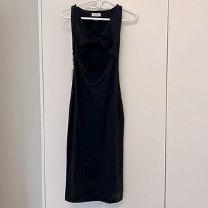 NWT Aritizia Babaton mantel contour dress